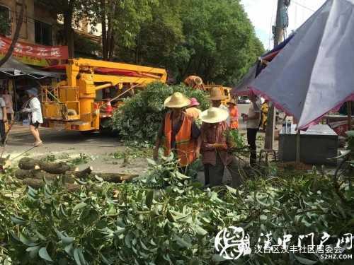 汉中市区一棵10米大树突然倾倒，刮倒高压线，所幸无人伤亡