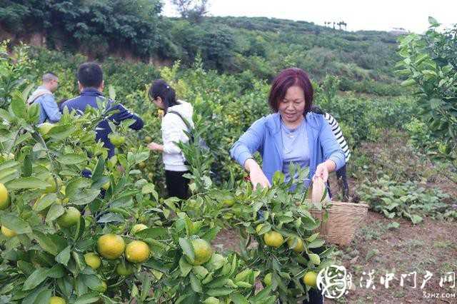 汉中市医保局联合开展消费扶贫和团队建设活动