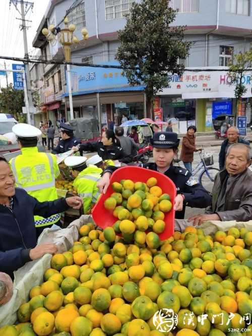 卖桔途中车坏了，一车桔子被撂马路中央，民警赶忙帮转移