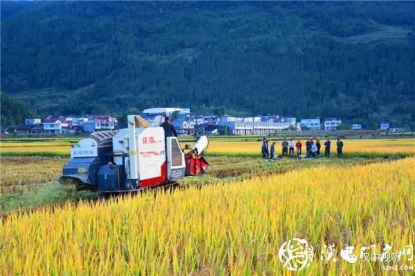 撒花！我市七家企业通过GAP认证，拿到通行全球“护照”