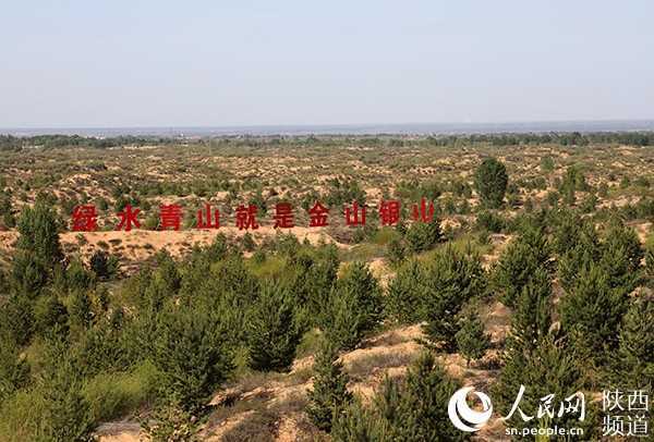 陕西：“绿进沙退” 毛乌素千年沙海变绿洲