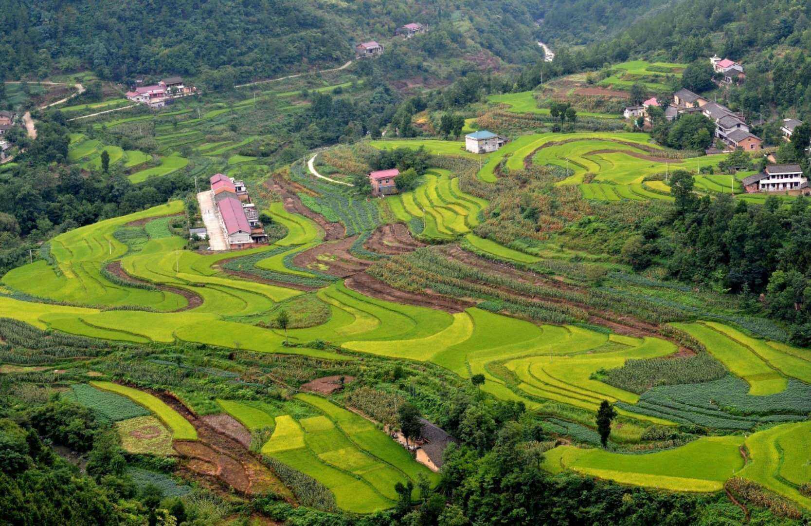 宁强县石坝子村：巴山深处的“网红村”