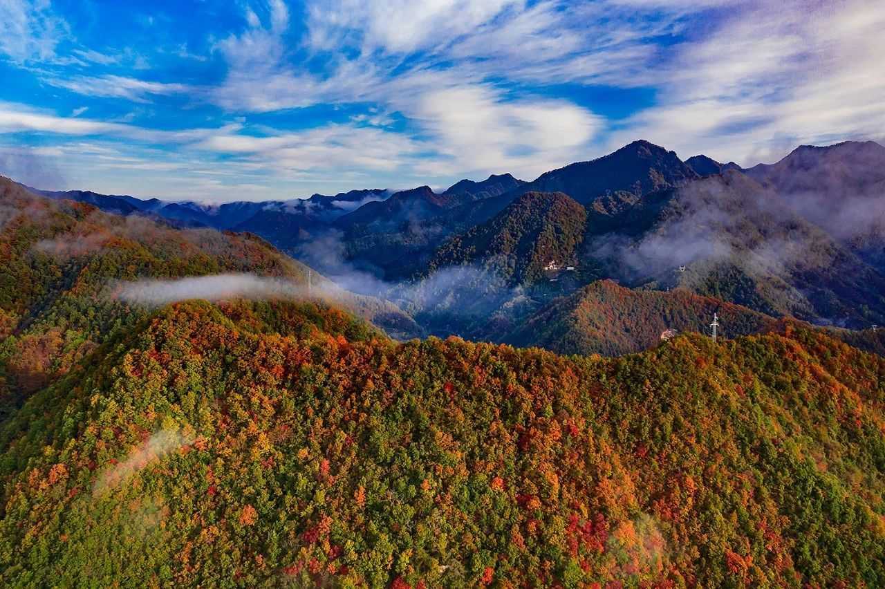 陕西留坝县:一场红叶盛宴的绝美乐章拉开帷幕