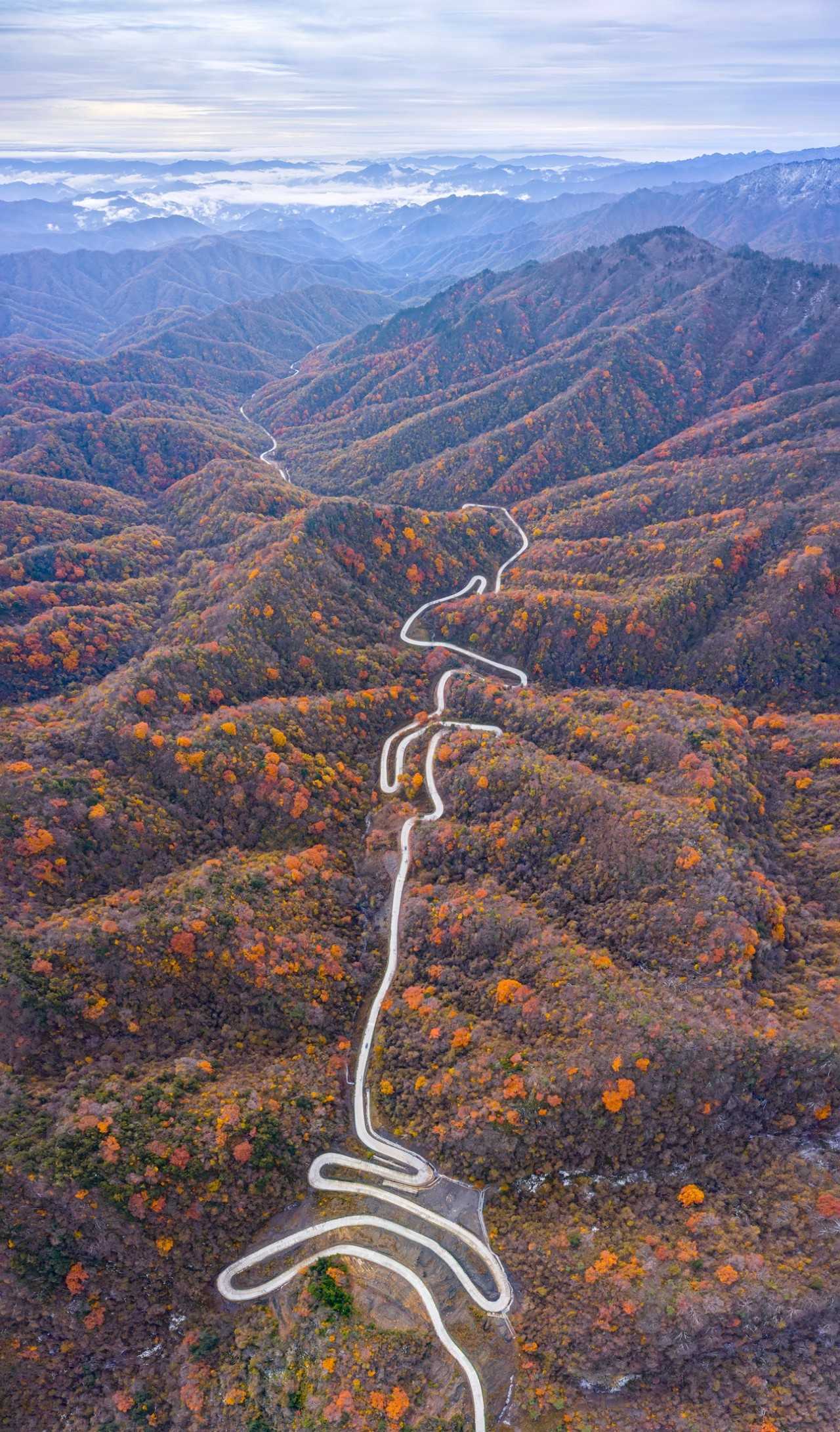 陕西留坝县:一场红叶盛宴的绝美乐章拉开帷幕