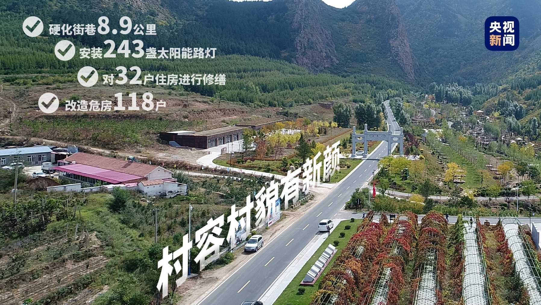 向总书记报告丨金鞍跃马好扬鞭