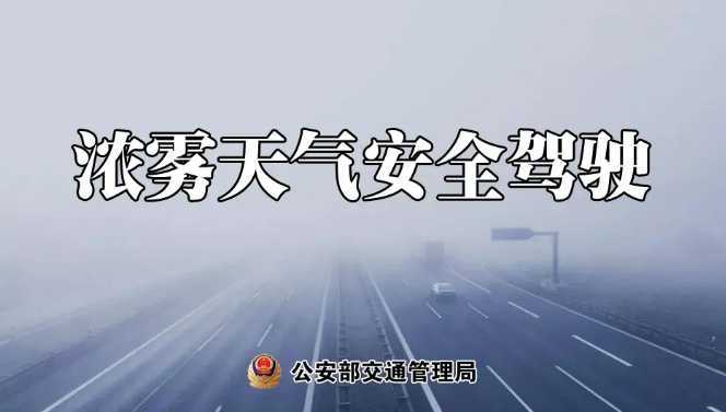 多地有大雾，安全驾驶提示速收好！ | 预警