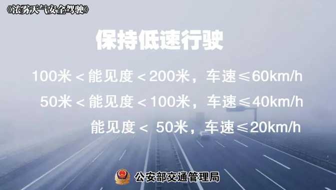 多地有大雾，安全驾驶提示速收好！ | 预警