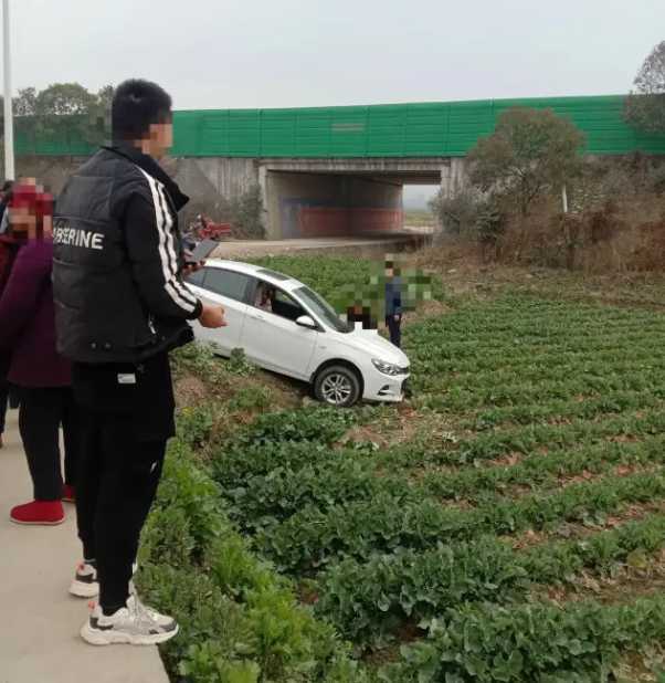 汉中一辆汽车开到油菜田里了！