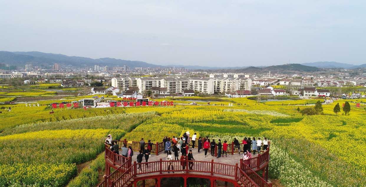 021中国最美油菜花海汉中旅游文化节在西乡县盛大启动"