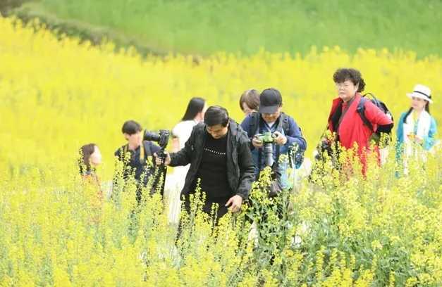 藏不住的梯田风光！汉中媒体采风团走进勉县新铺镇漩水坪村