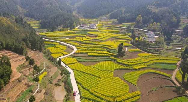 藏不住的梯田风光！汉中媒体采风团走进勉县新铺镇漩水坪村