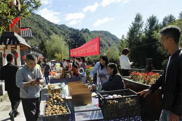 又是一年丰收时，留坝县第四届农民丰收节今日正式开幕！