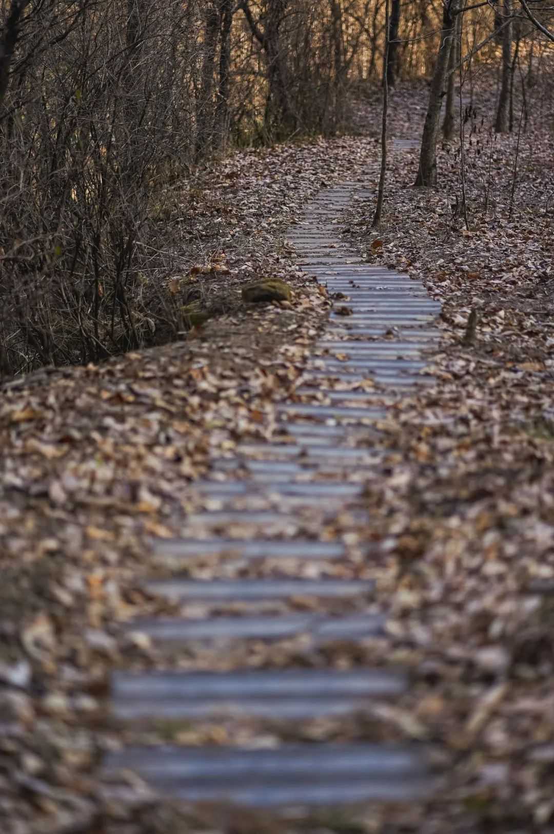 在汉中，这定是您向往的冬日生活！