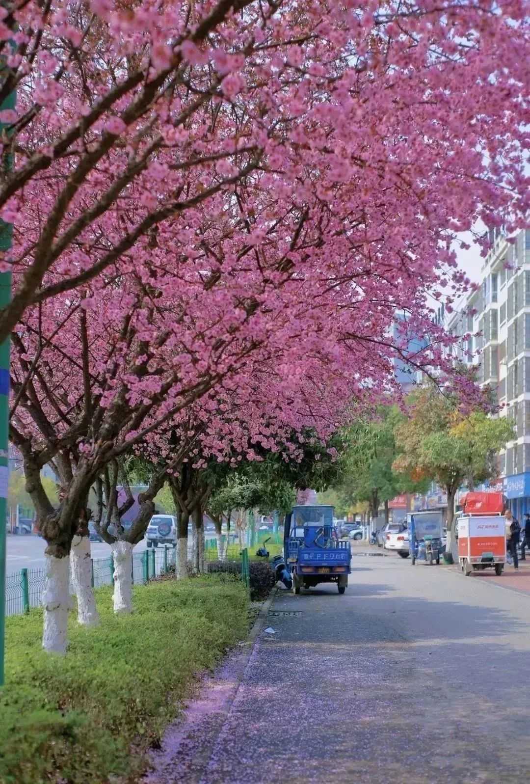 汉中美图大片！烟火起 照人间，喜悦无边 执手忆此年。