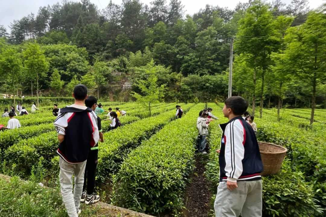 汉中6条线路入选