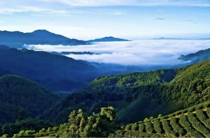 诗意镇巴！这条醉美旅游线路私藏了万千田园风光！