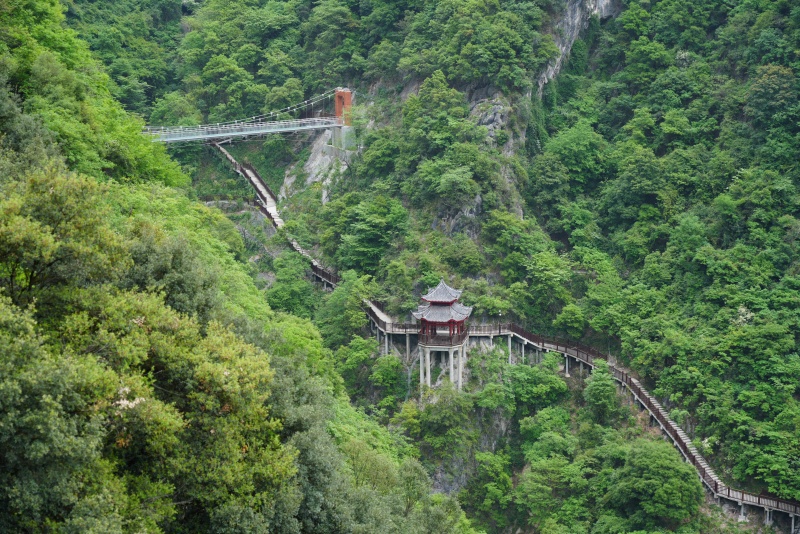 “绿色山乡 美好画卷”中省市媒体和网络媒体系列采访活动在略阳启动