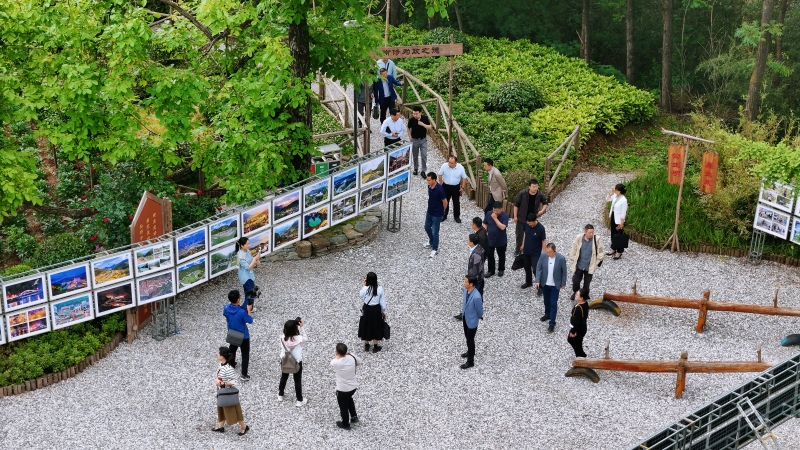 “绿色山乡 美好画卷”中省市媒体和网络媒体系列采访活动在略阳启动