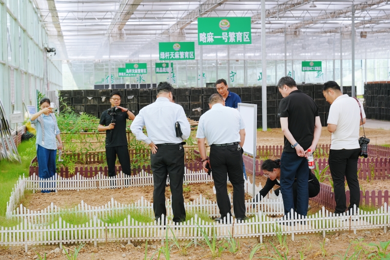 “绿色山乡 美好画卷”中省市媒体和网络媒体系列采访活动在略阳启动