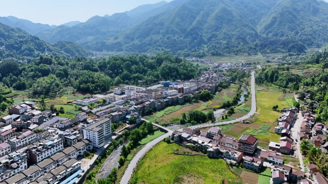 西乡县高川镇第三届“生态茶乡·高川味道”茶事活动精彩纷呈！