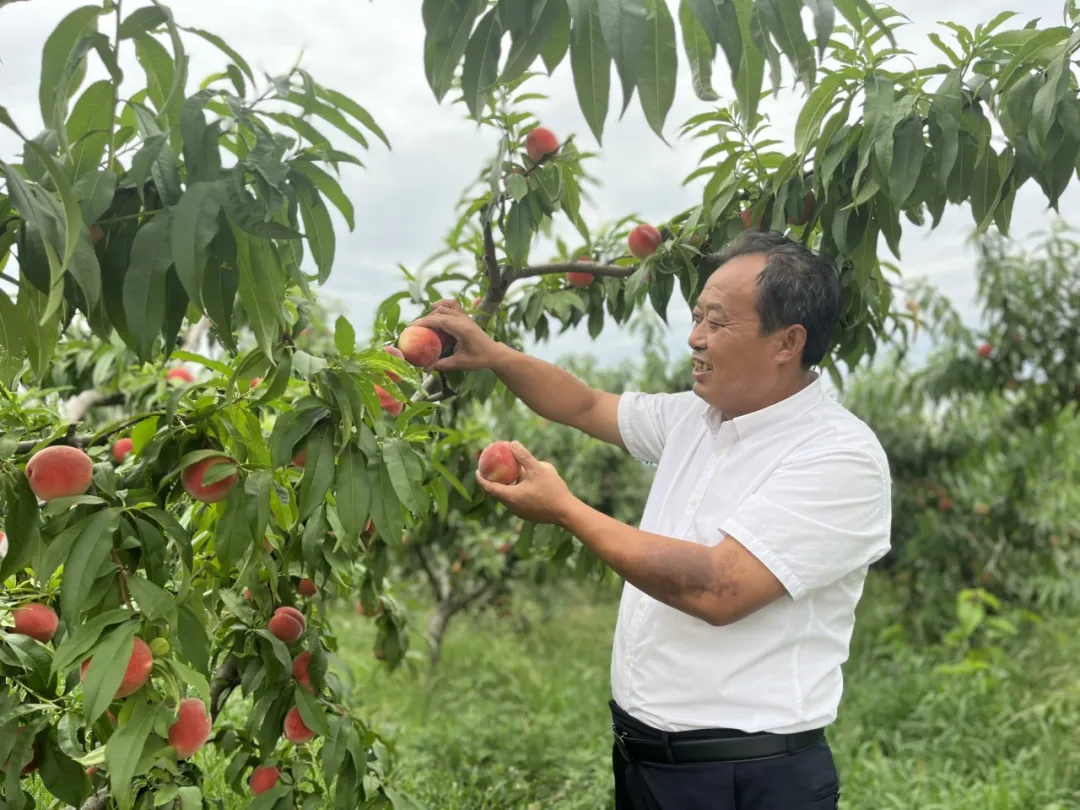 致富找出路！汉中村支书在土地里做“实验”→