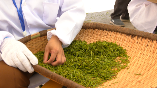 城固举行第二届茶农丰收节暨全民饮茶活动