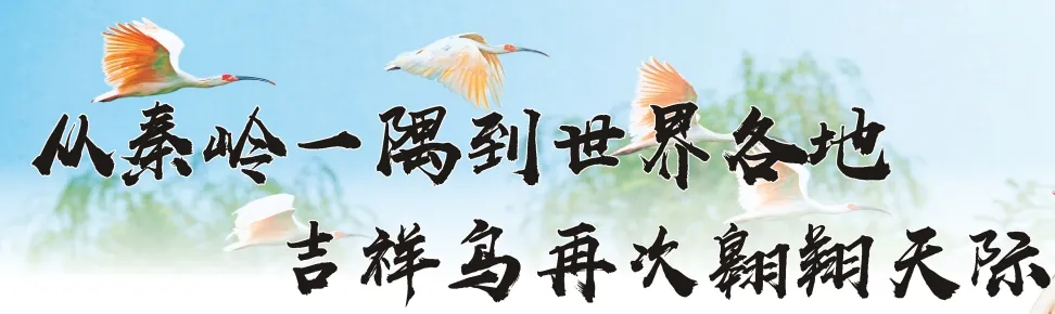 从秦岭到世界！汉中创造生态奇迹！