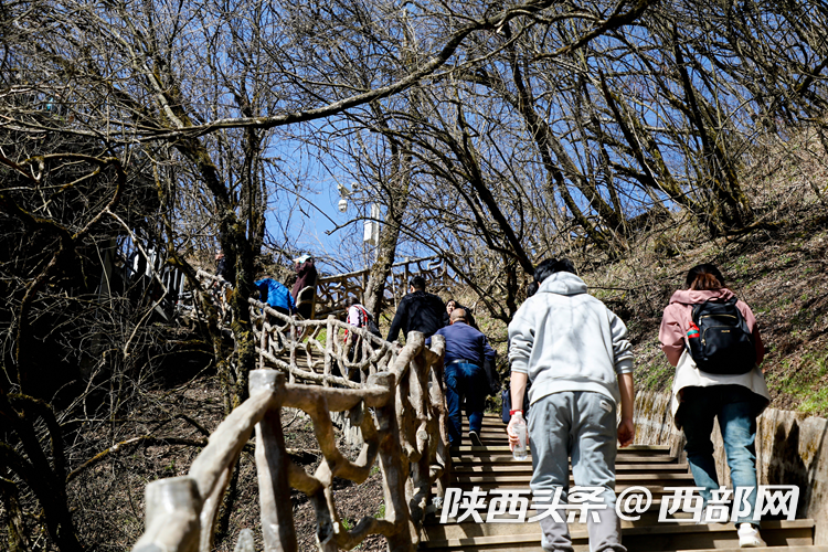 生态高颜值·发展高质量｜云端仙境 四季可赏 汉中龙头山风光无限好