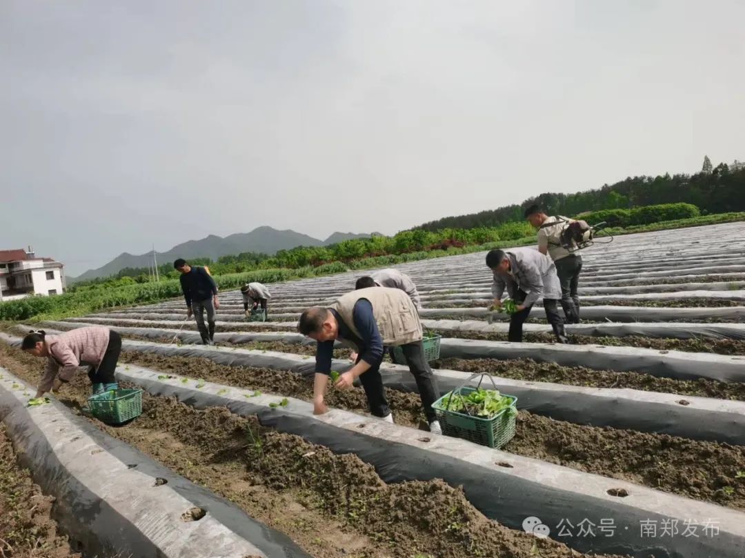 汉中这些地方，藏着令人向往的满分初夏时光！