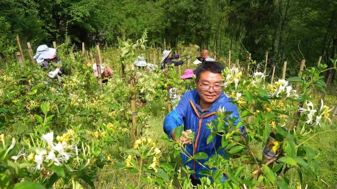 汉中这些地方，藏着令人向往的满分初夏时光！