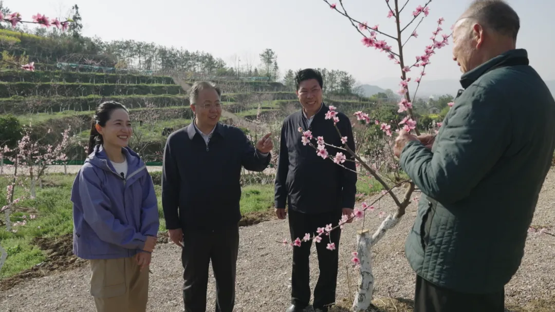 央视财经关注！看汉中如何探索乡村振兴之路→