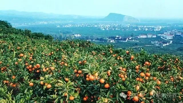 李振峰：仰望宝山