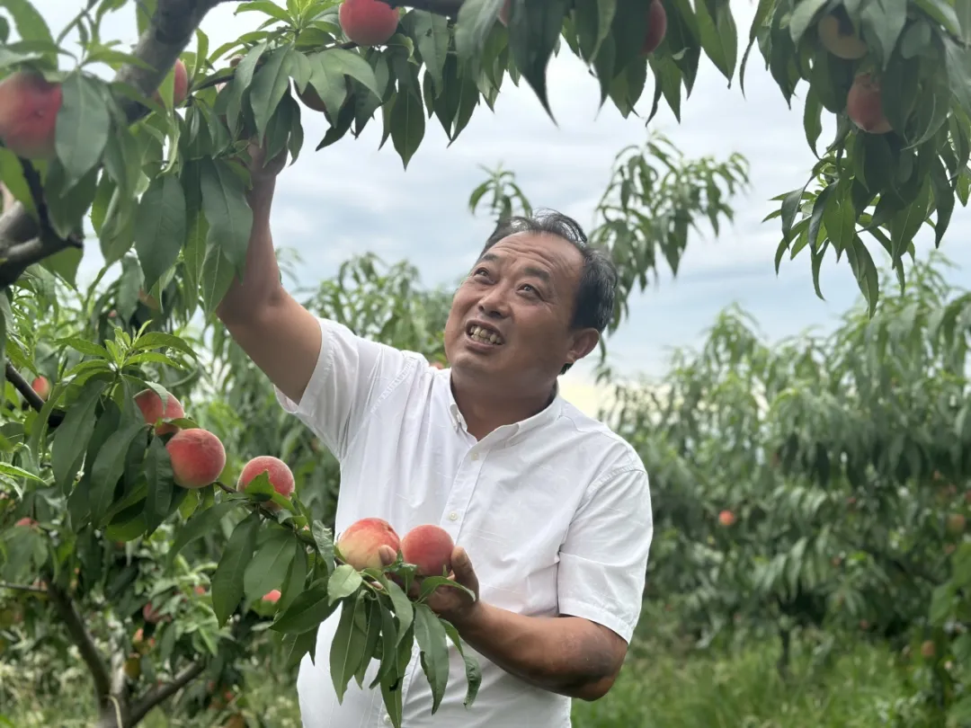 致富找出路！汉中村支书在土地里做“实验”→