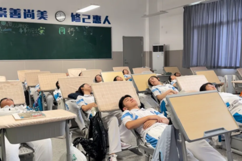 让学生吃得好睡得香！汉中推进校内午餐午休→