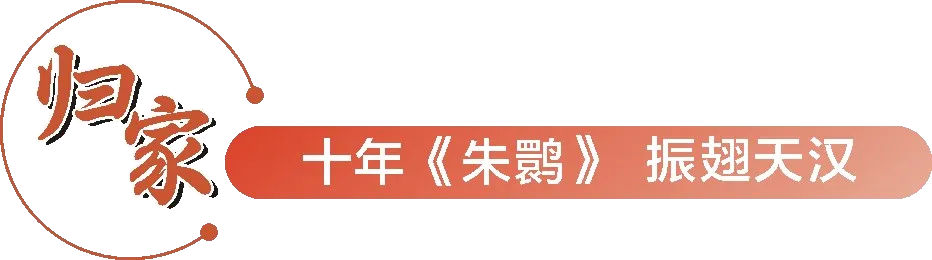 从秦岭到世界！汉中创造生态奇迹！