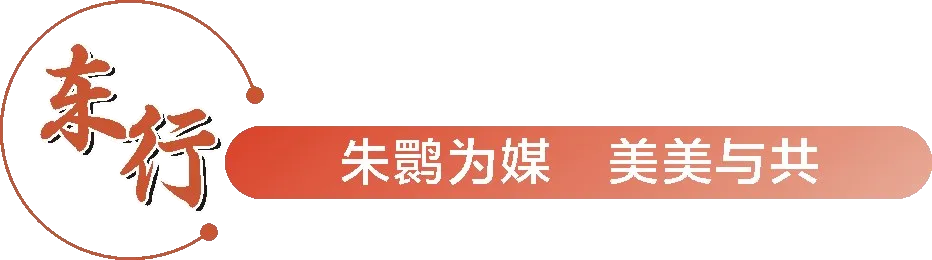 从秦岭到世界！汉中创造生态奇迹！