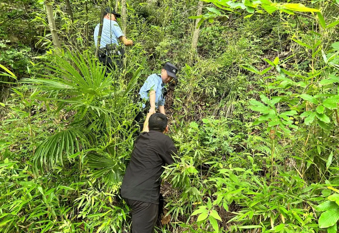 小伙任性离家出走，汉中民警深山寻回